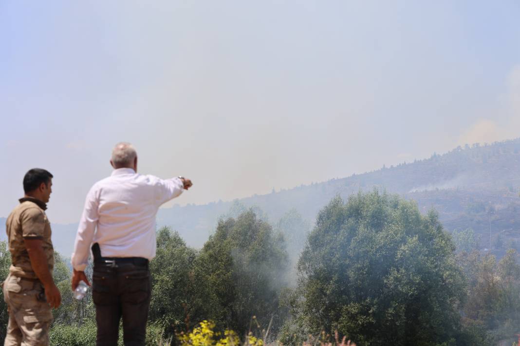 Elazığ'da orman yangını 33